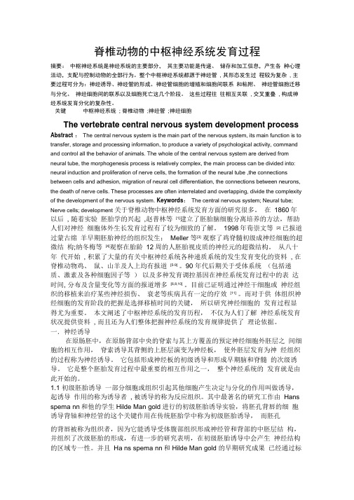 脊椎动物的中枢神经系统发育过程