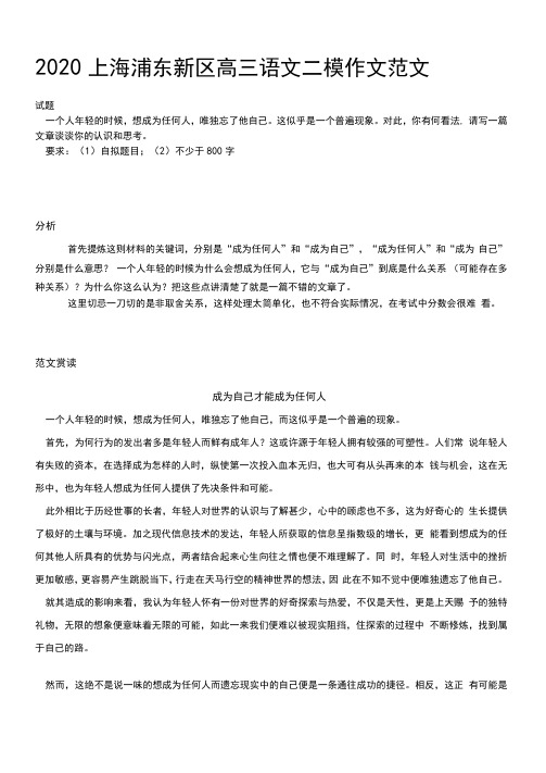 2020上海浦东新区高三语文二模作文范文