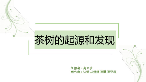 茶树的发现和起源