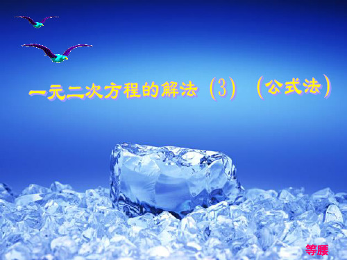 公式法PPT教学课件