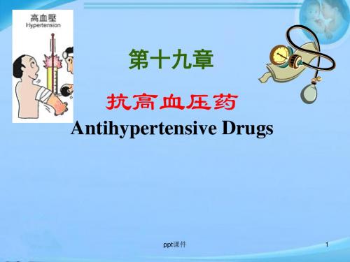 第十九章-抗高血压药  ppt课件