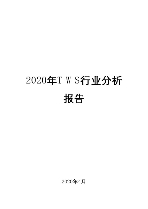 2020年TWS行业分析报告1