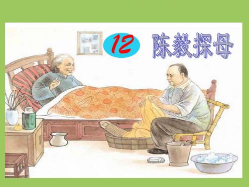 《陈毅探母》PPT