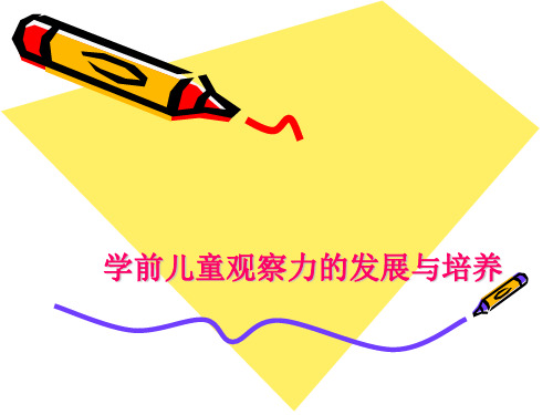 儿童观察力的培养PPT课件