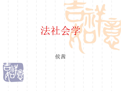 法社会学 (本科)