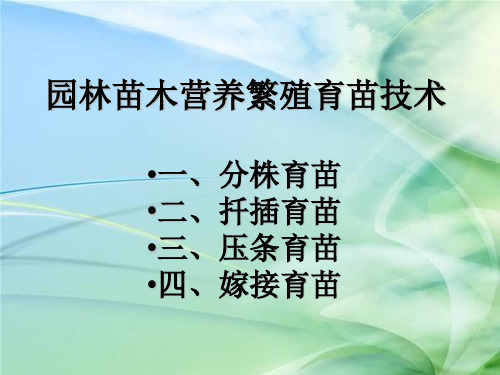 园林绿化苗木繁殖育苗技术分株、扦插、嫁接、压条图片