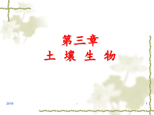 土壤学课程土壤生物ppt课件