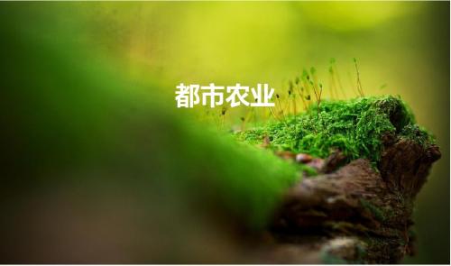都市农业的发展