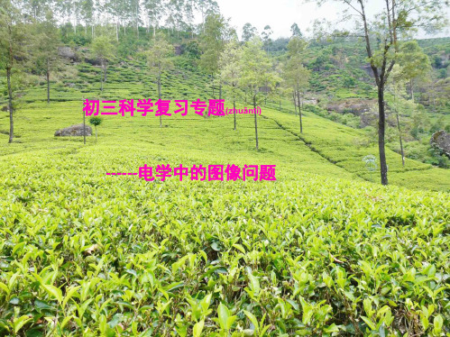 中考科学专题复习 电学中的图像问题课件