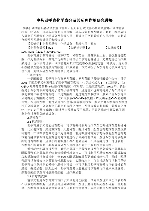 中药四季青化学成分及其药理作用研究进展