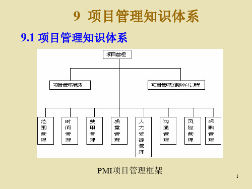 9项目管理知识体系