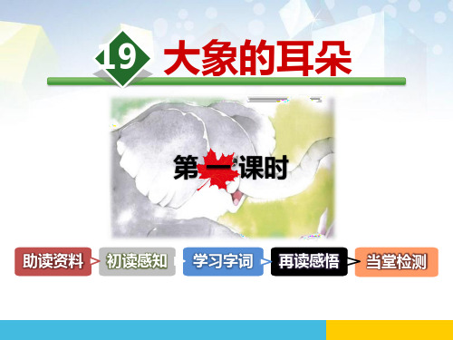 《大象的耳朵》PPT(第一课时) 图文