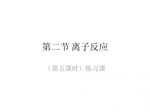第二节 离子反应 第五课时 - 1.2.