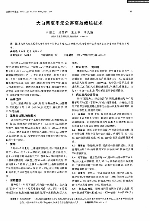 大白菜夏季无公害高效栽培技术
