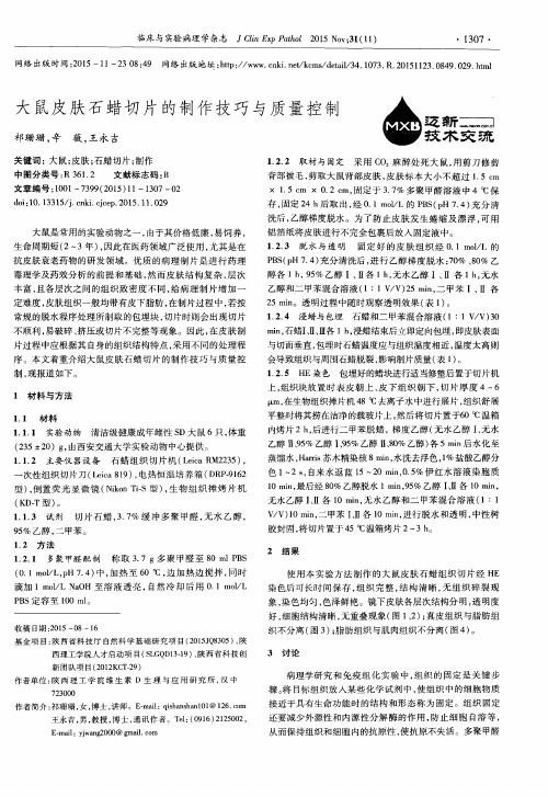 大鼠皮肤石蜡切片的制作技巧与质量控制