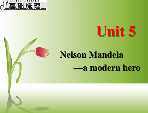 高考英语一轮复习：必修一-Unit5-Nelson-Mandela—a-Modern-Hero