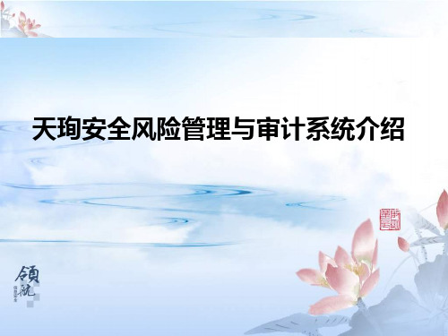 天珣安全风险管理与审计系统介绍
