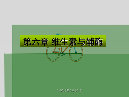生物化学第六章维生素