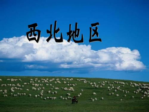 西北地区