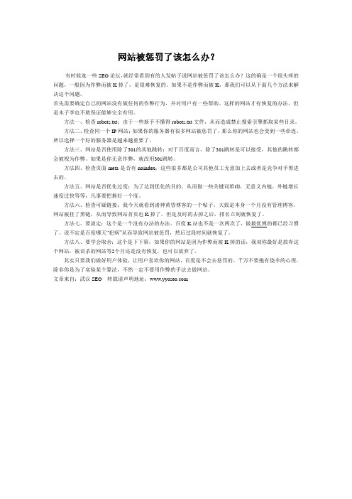 网站被惩罚了该怎么办