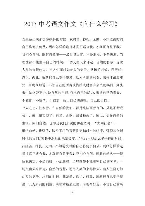 2017中考语文作文《向什么学习》