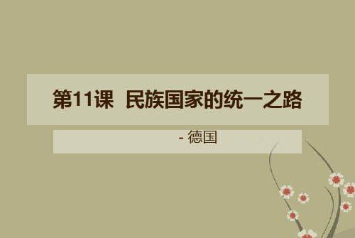 高中历史 第11课 民族国家的统一之路课件 岳麓版必修11