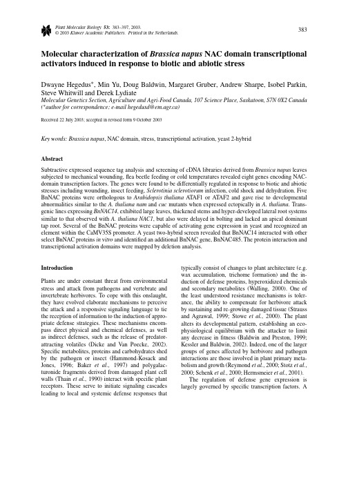 Molecular characterization of Brassicanapus NAC domain