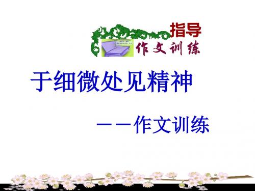 初中作文于细微处见精神——作文训练ppt