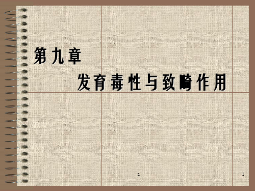 发育毒与致畸作