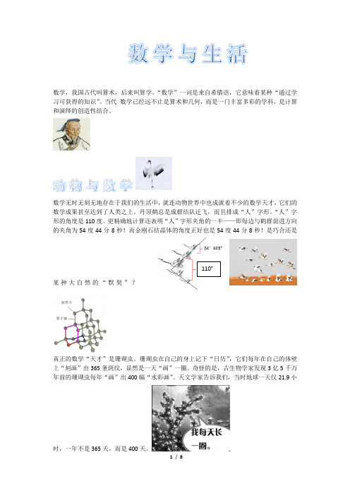 数学与生活小报A4版