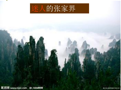 《迷人的张家界》 课件