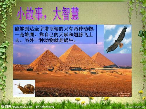 背着“壳”前行