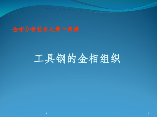 工具钢金相组织