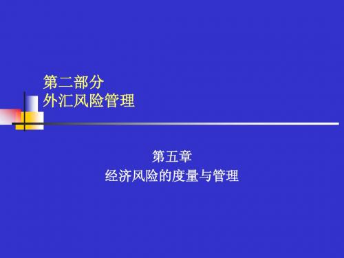 外汇风险的度量与管理