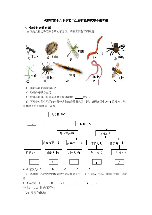 成都市第十八中学初二生物实验探究综合题专题