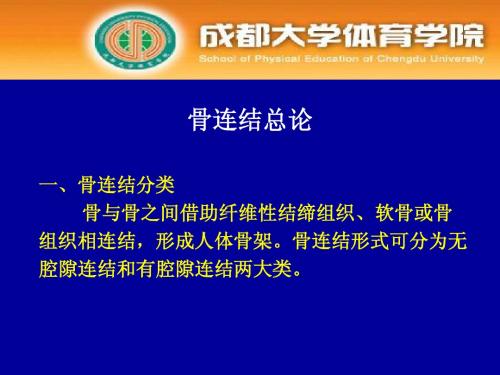 骨连接概论6