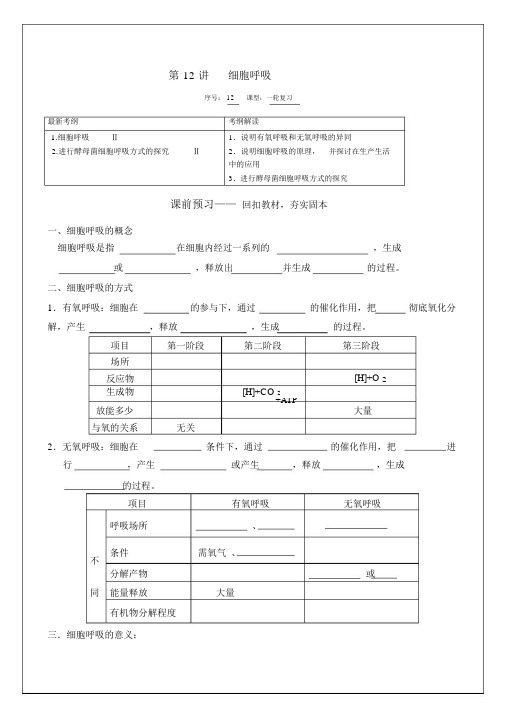 高三生物一轮复习学案《细胞呼吸》