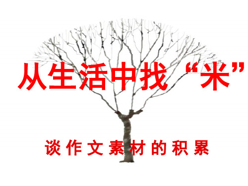 从生活中找“米”——谈作文素材的积累ppt