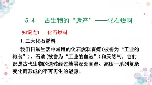 科粤版化学九年级上册 第五章    5.4  古生物的“遗产”—化石燃料精品教学课件