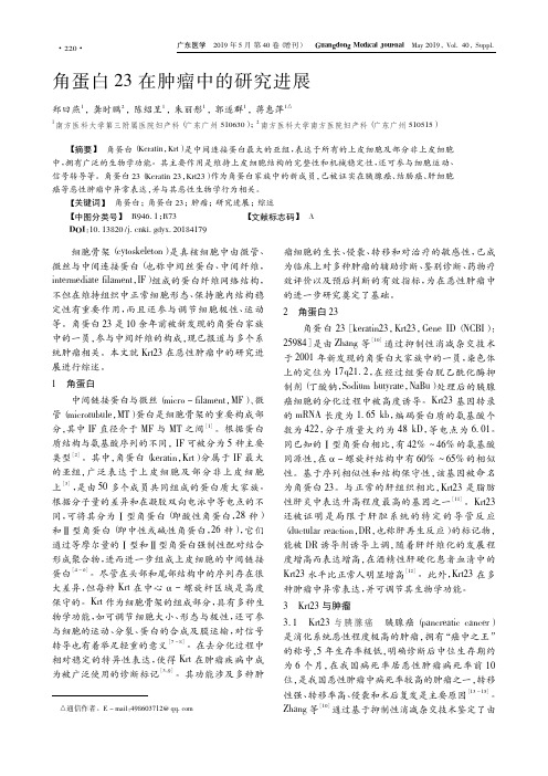 角蛋白23在肿瘤中的研究进展