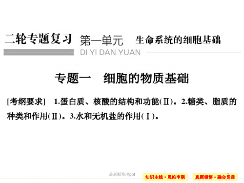 蛋白质和核酸二轮复习专题ppt课件