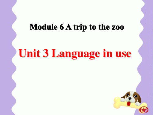 《Language in use》A trip to the zoo PPT课件2