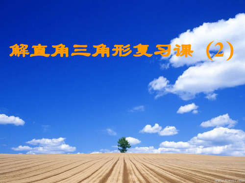 数学浙教版九下-第一章解直角三角形 课件2.ppt