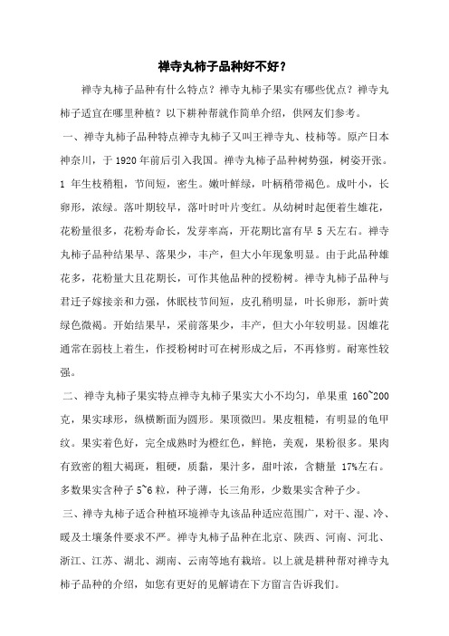 禅寺丸柿子品种好不好？