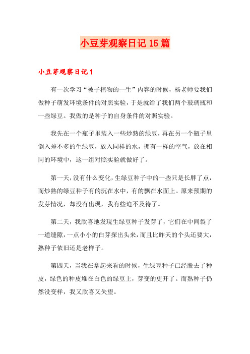 小豆芽观察日记15篇