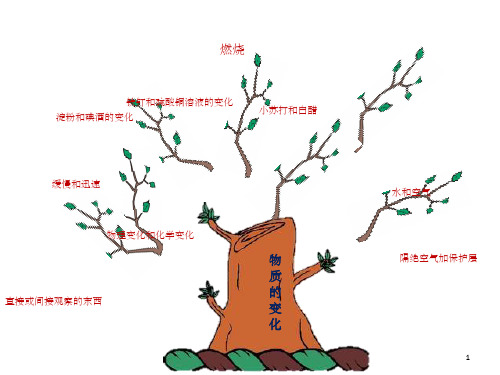 六年级科学下册册第二单元知识树ppt课件