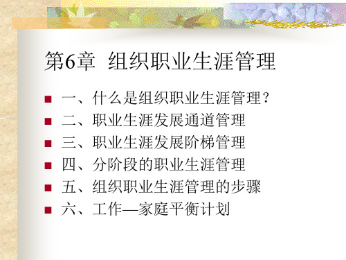 第6章 组织职业生涯管理