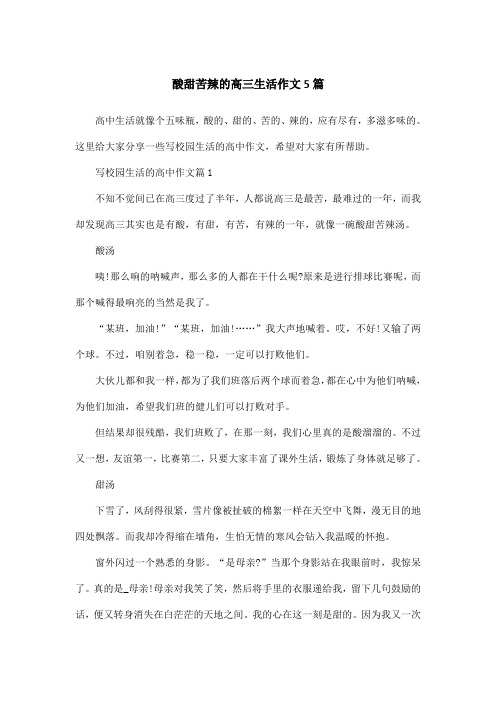 酸甜苦辣的高三生活作文5篇