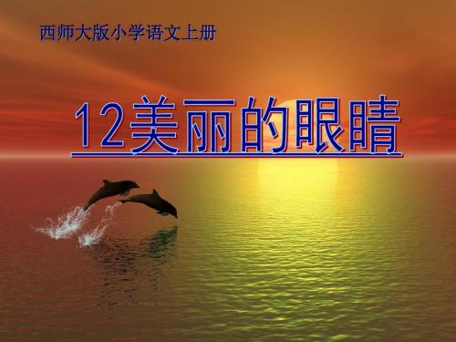 《美丽的眼睛》PPT优秀课件2