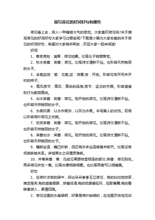 描写荷花的好词好句有哪些